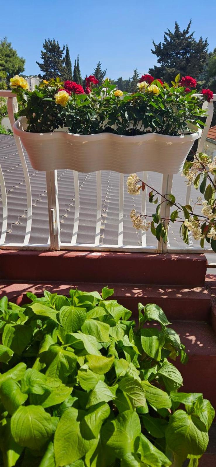 Apartments Afrodita Dubrownik Zewnętrze zdjęcie